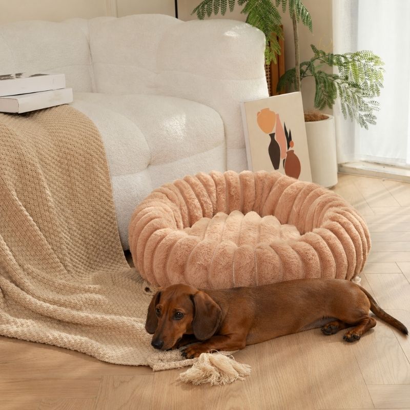 Plush Round Dachshund Bed