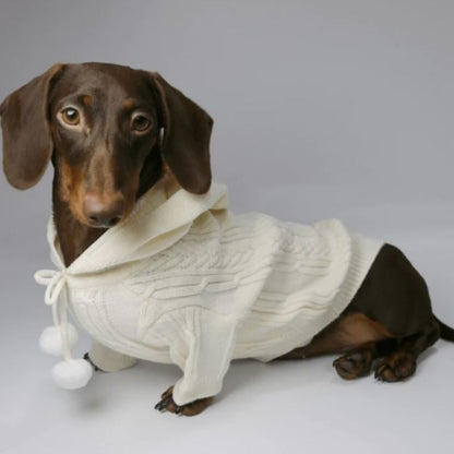 Dackel Kapuzenpullover mit Bommel