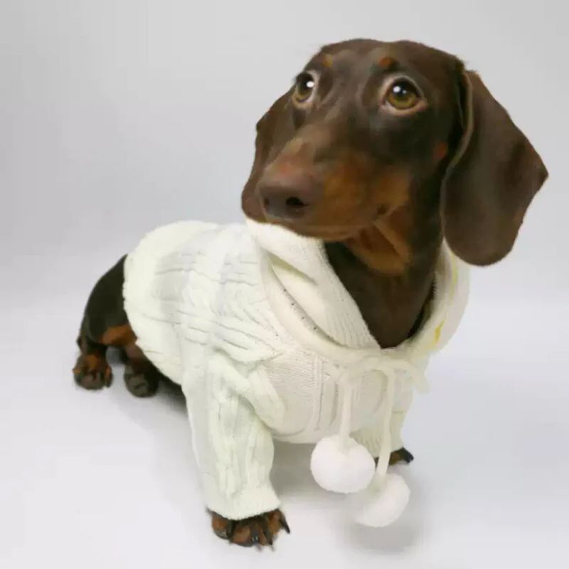 Dackel Kapuzenpullover mit Bommel