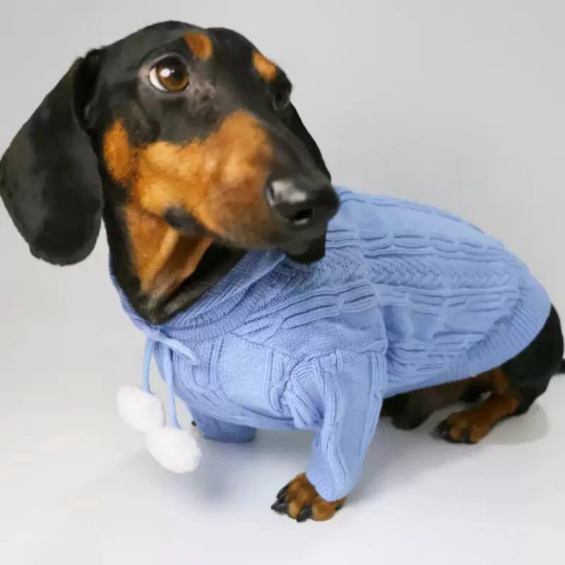 Dackel Kapuzenpullover mit Bommel