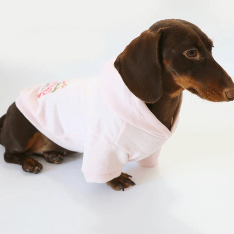 Prince Charming Dackel Hoodie