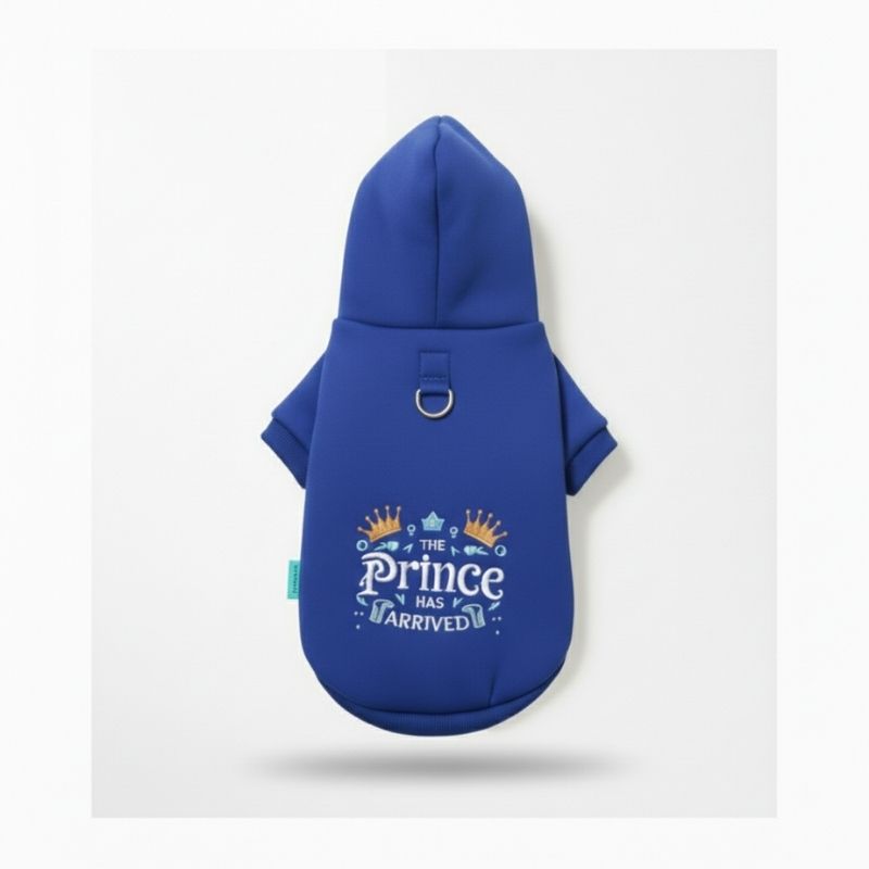 Prince Charming Dackel Hoodie