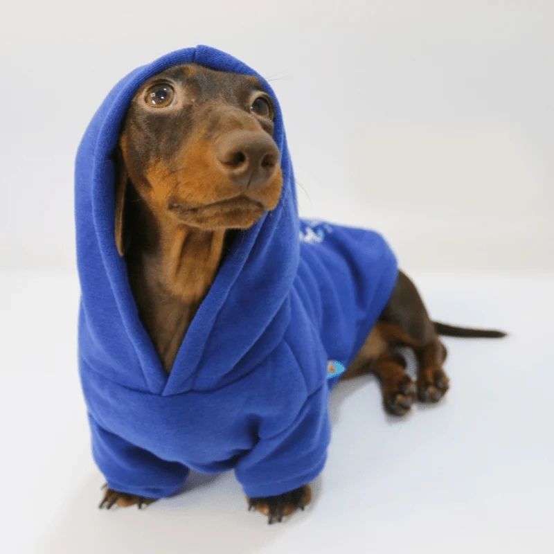Prince Charming Dackel Hoodie