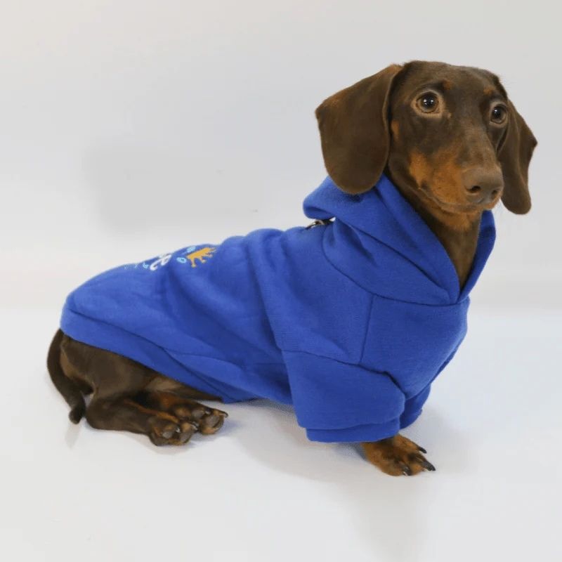 Prince Charming Dackel Hoodie