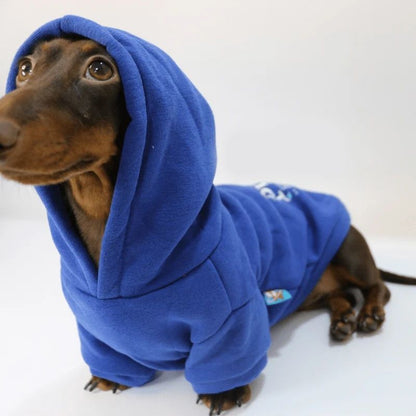 Prince Charming Dackel Hoodie
