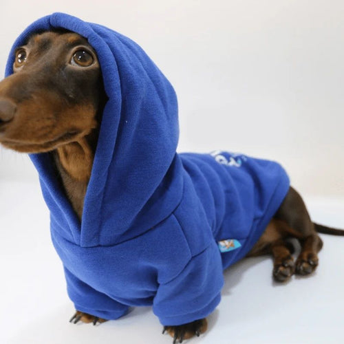 Prince Charming Dackel Hoodie