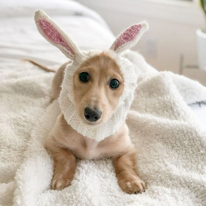 Rabbit Holiday Dachshund Hat