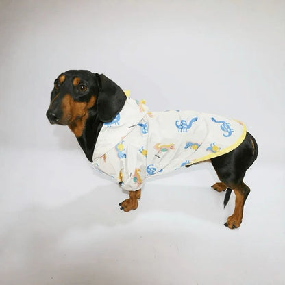 Rainy Rex Dackel Regenmantel