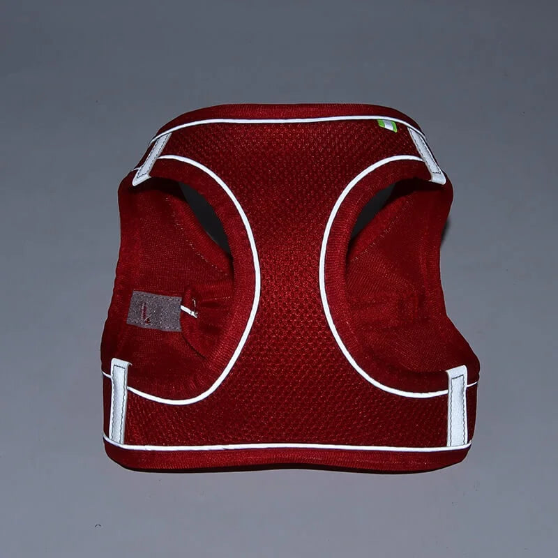 Dachshund Space Reflective Harness & Leash