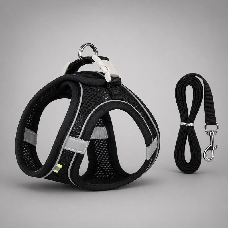 Dachshund Space Reflective Harness & Leash