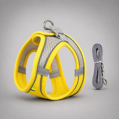 Dachshund Space Reflective Harness & Leash