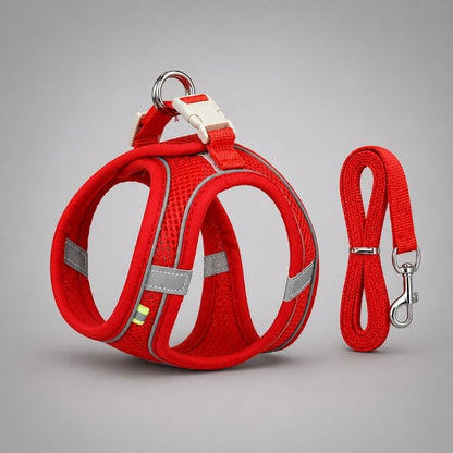 Dachshund Space Reflective Harness & Leash