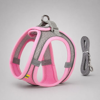 Dachshund Space Reflective Harness & Leash
