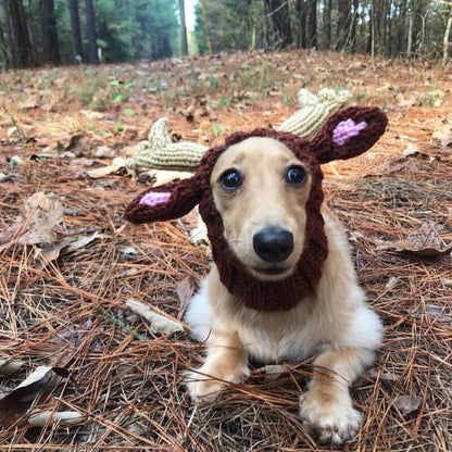 Elk Dachshund Holiday Hat