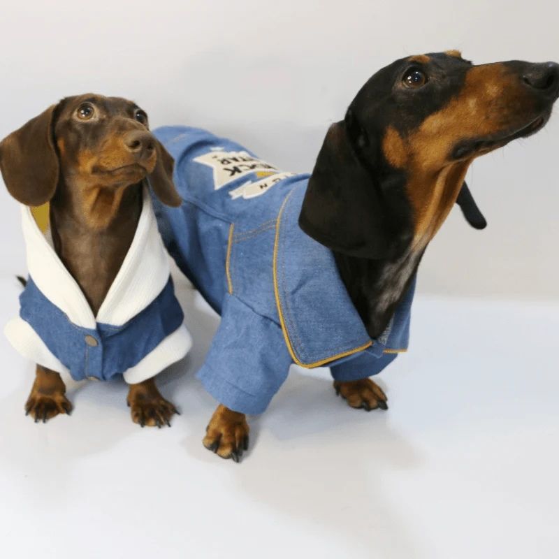 Chaqueta Vaquera RockStar para Perros Salchicha