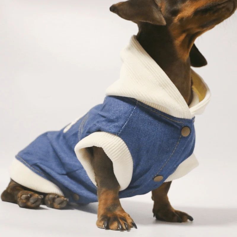 Chaqueta Vaquera RockStar para Perros Salchicha