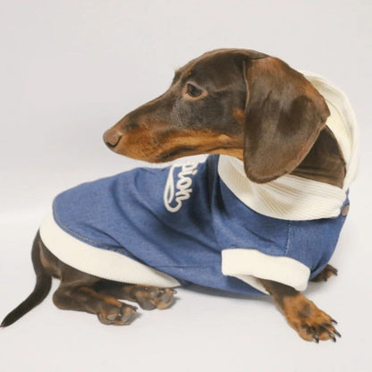 Chaqueta Vaquera RockStar para Perros Salchicha