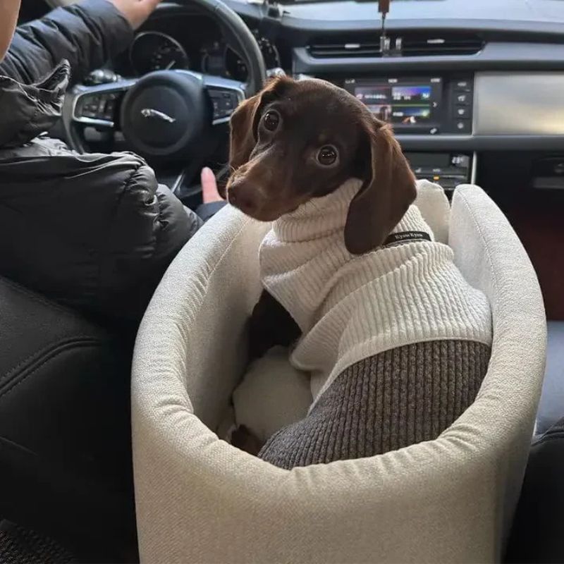 Safety Dachshund Car Seat