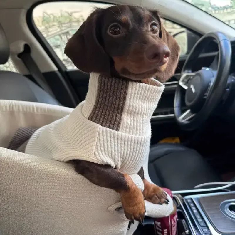 Safety Dachshund Car Seat
