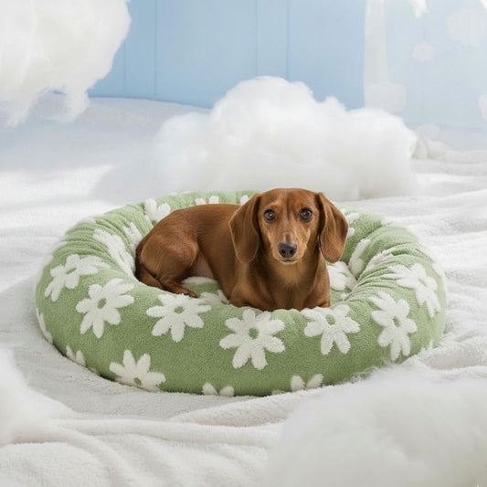Sausage Dog Snuggle Bed