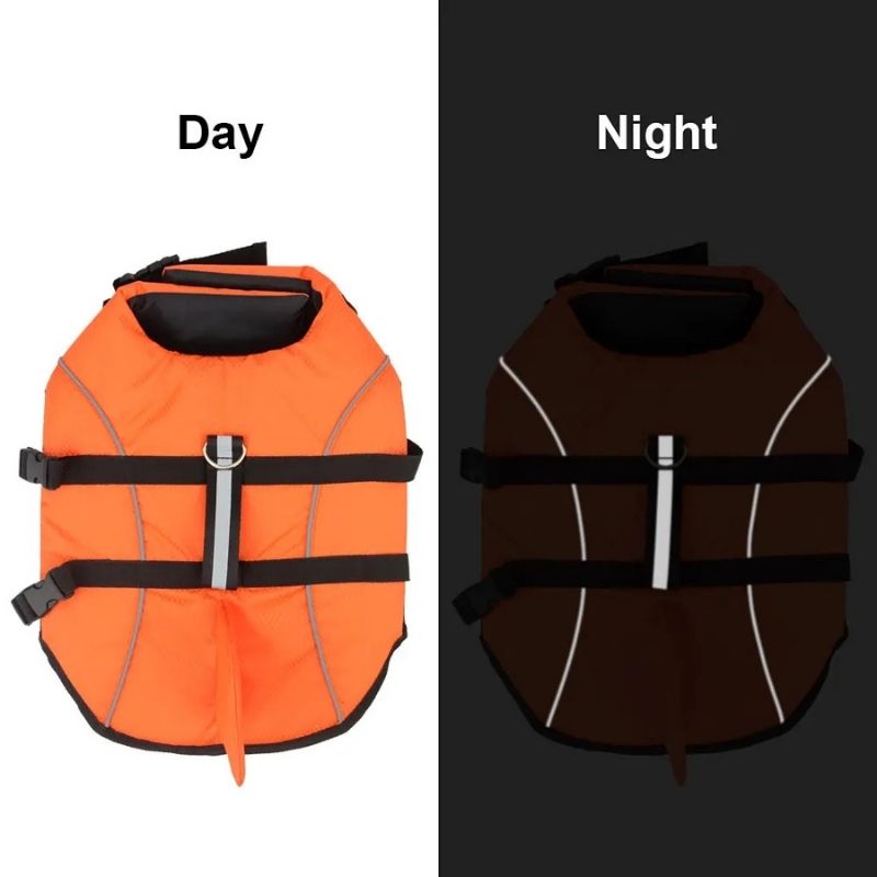 Shark Dachshund Life Jacket