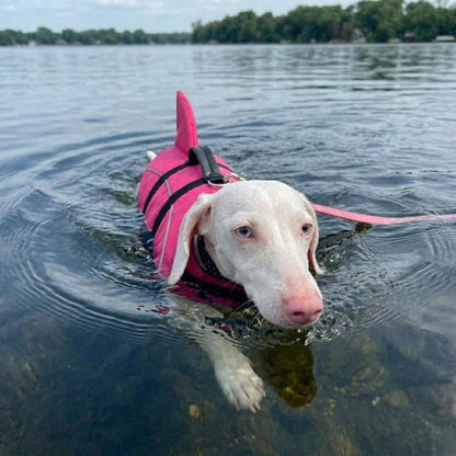Shark Dachshund Life Jacket