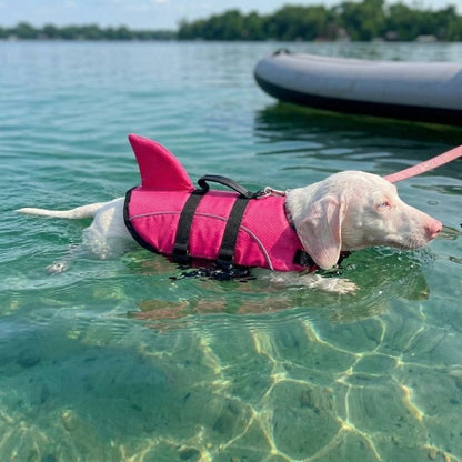 Shark Dachshund Life Jacket
