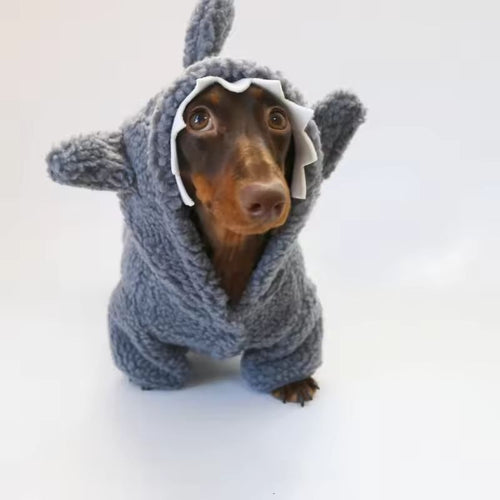 Sudadera Sharky para Perros Salchicha