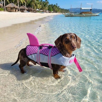 Sharky Dachshund Life Jacket