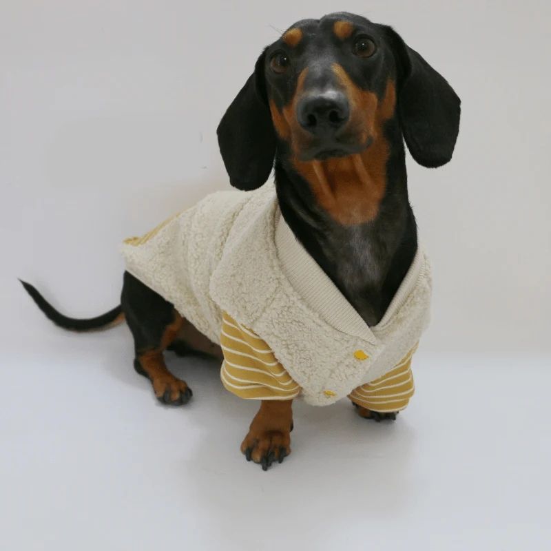 SheepSnug Thermojacke für Dackel