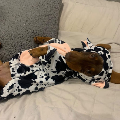Cow Sausage Dog Pyjama