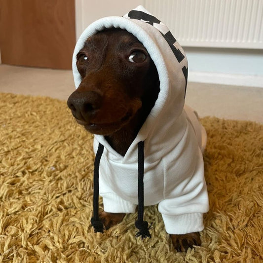 Cozy Comfy Dachshund Hoodie