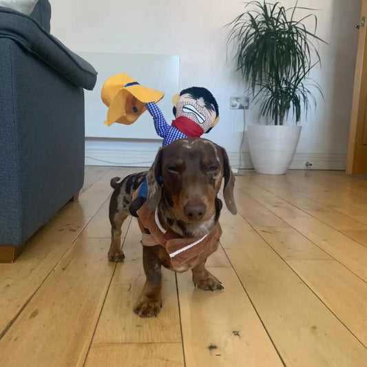 Dachshund Cowboy Costume