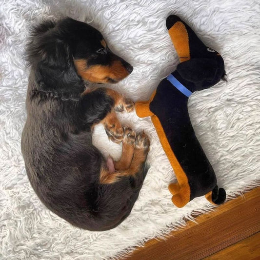 Dachshund Dog Toy