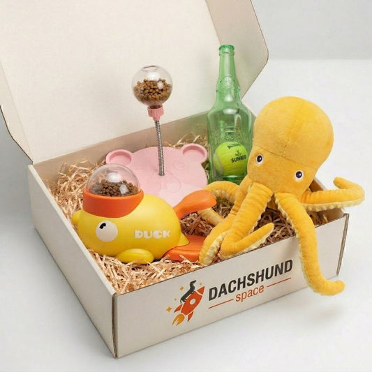 Dachshund Fun Box