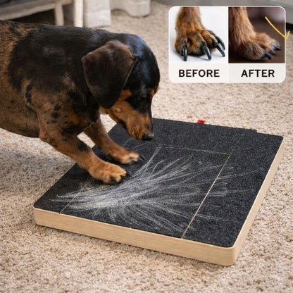 Dachshund Krallenschleifbrett