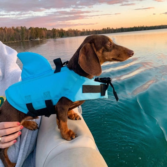 Dachshund Shark Vest