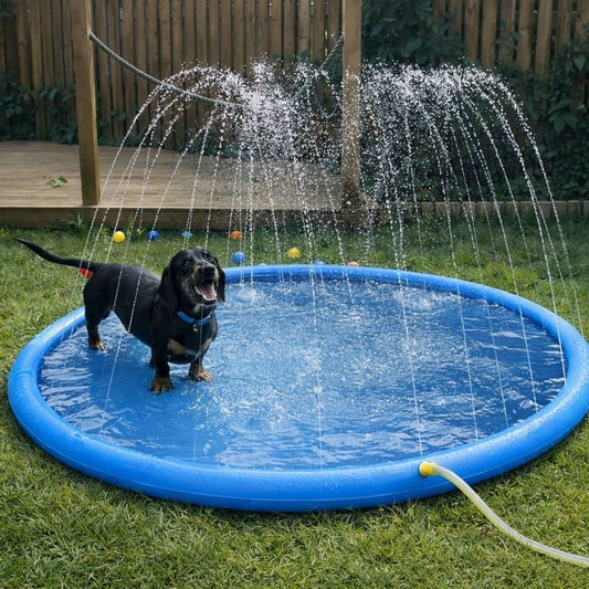 Dachshund Splash Summer Pool