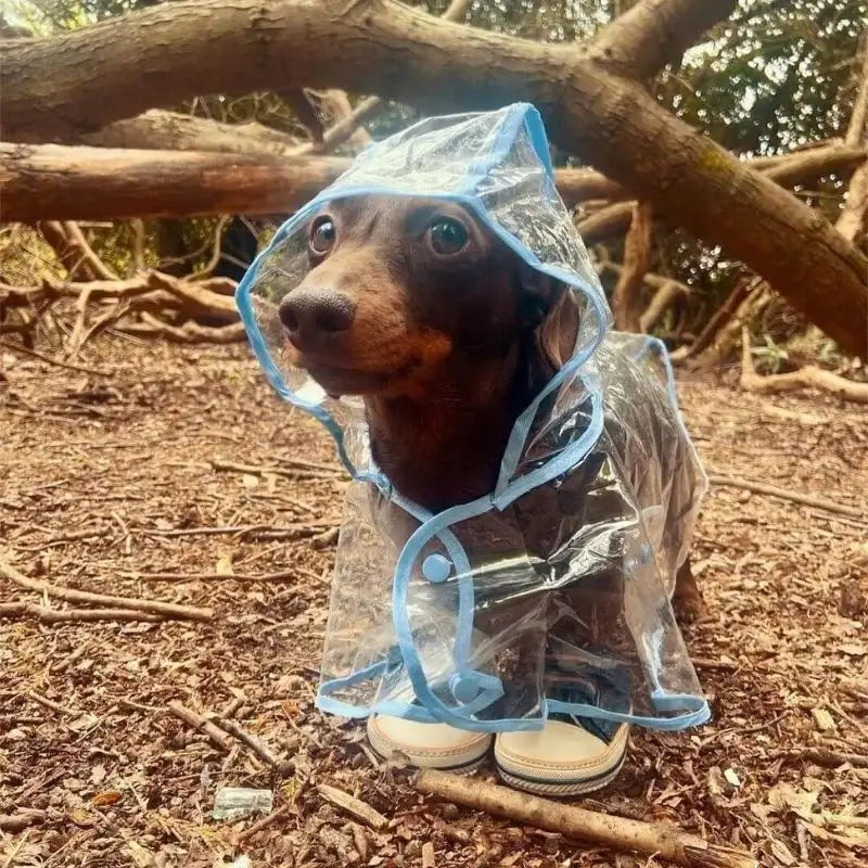 Dachshund Space Regenmantel