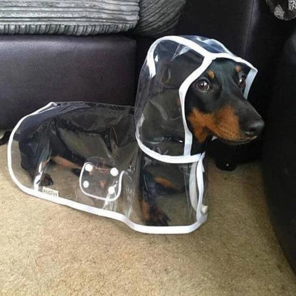 Dachshund Space Regenmantel