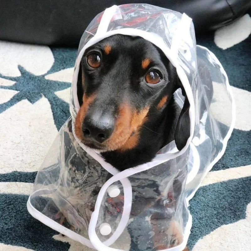 Dachshund Space Regenmantel