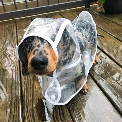 Dachshund Space Regenmantel