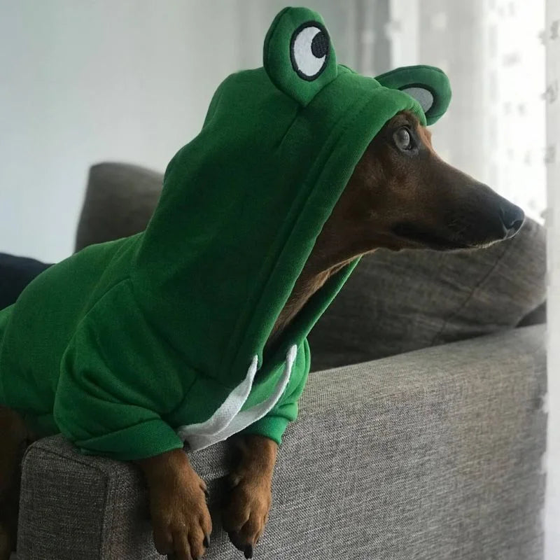 Sudadera Rana para Perros Salchicha