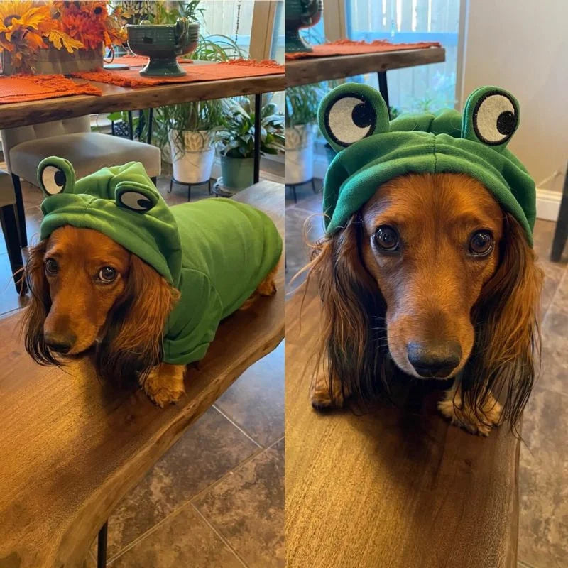 Sudadera Rana para Perros Salchicha