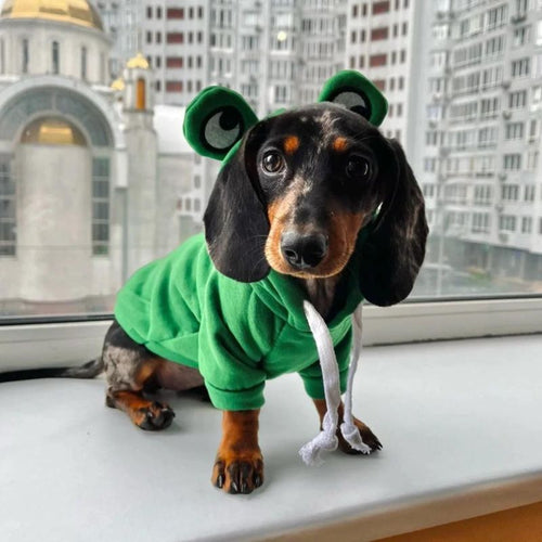 Sudadera Rana para Perros Salchicha