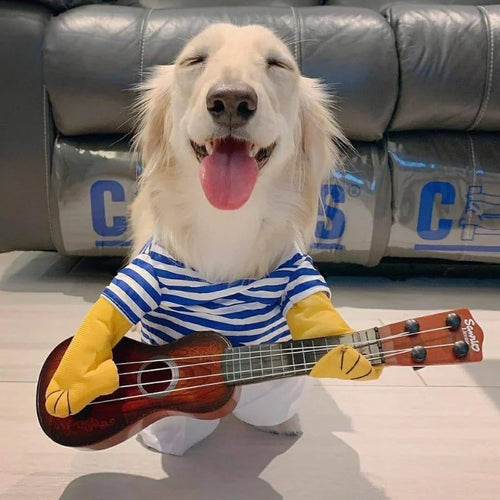 Guitar Player Dachshund Costume