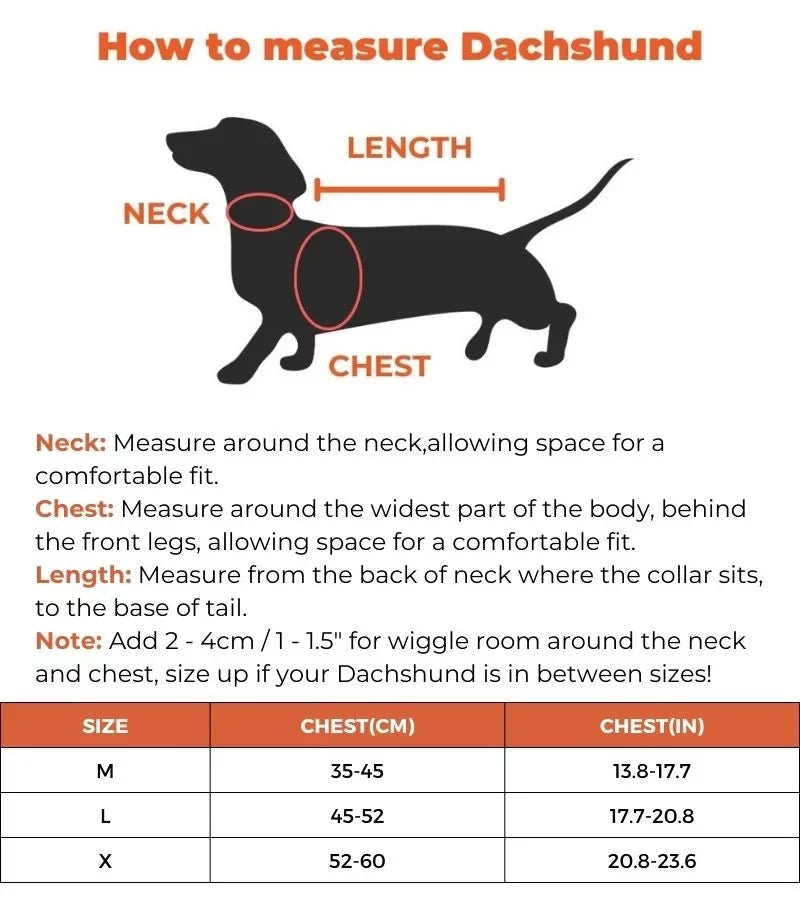 guitar-player-dachshund-costume size guide