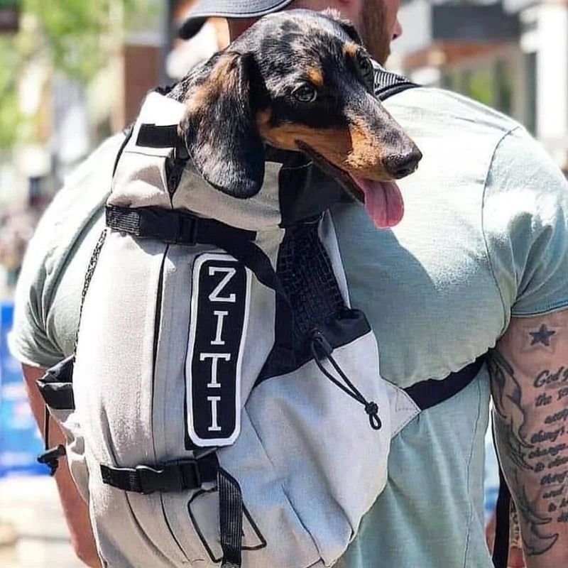 Dachshund Space Tragetasche