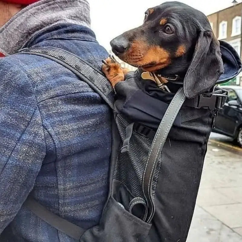 Dachshund Space Tragetasche
