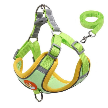 Doxie Reflective Harness & Leash